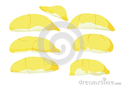 Durian fruit colour yellow and ripe durian piece on white background Vector Illustration