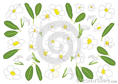 Frangipani flowers close up beautiful plumeria pattern design on white background Vector Illustration