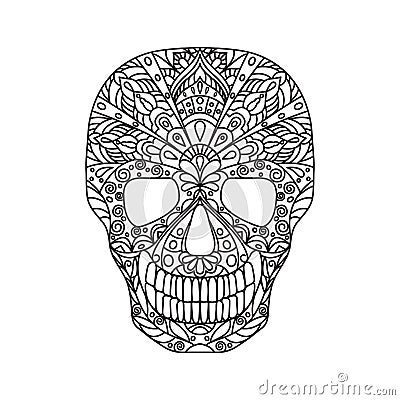 Skull. Black line vector illustration in doodling style isolated on white background. Vector Illustration