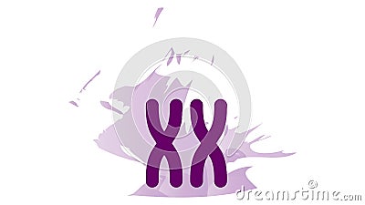 X chromosome icon Vector Illustration