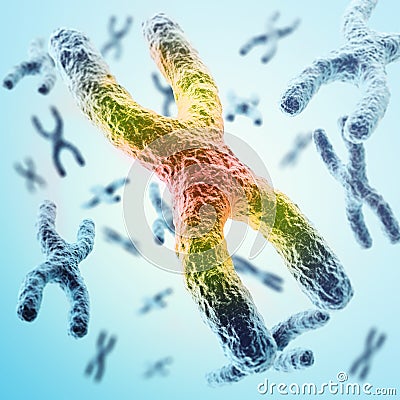 X-chromosomes as a concept for human biology medical symbol gene therapy or microbiology genetics research. 3d Cartoon Illustration