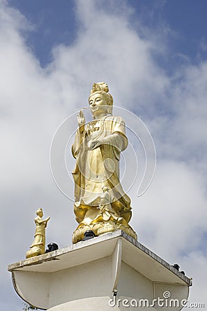 'Guan Yin', Goddess of Mercy, Golden statue of bodhisattva in Trang,Thailand Stock Photo