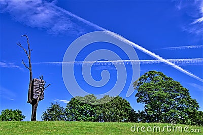 X marks the spot in Yorkshire Sculpture Park Editorial Stock Photo