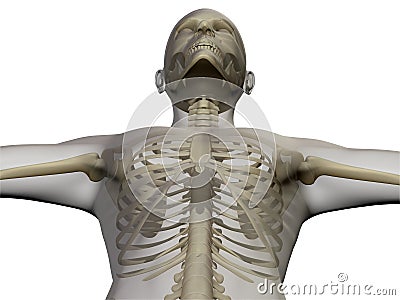 X ray of human body and skeleton Stock Photo