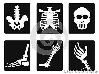 X ray icons Vector Illustration