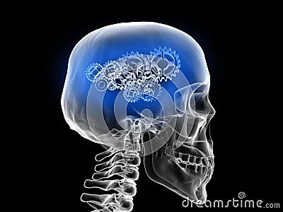 x-ray skull with gears - thinking idea Stock Photo