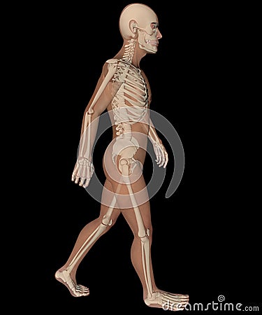 X ray of walking human body and skeleton Stock Photo