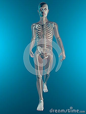 X ray of walking human body and skeleton Stock Photo