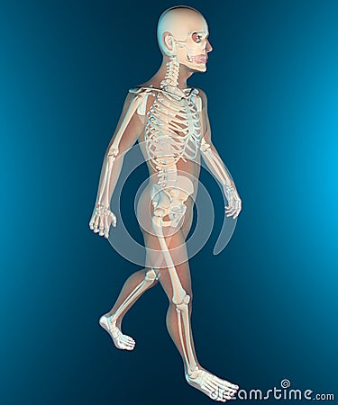 X ray of walking human body and skeleton Stock Photo