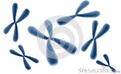 3D rendered illustration of chromosomes. Genetics concept Cartoon Illustration
