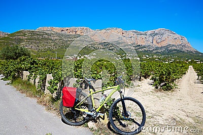Xabia Javea Montgo vineyards biking MTB Stock Photo