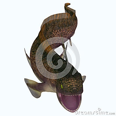 Xenacanthus Shark Open Mouth Stock Photo