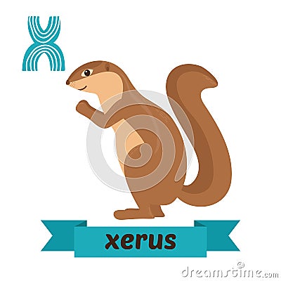 Xerus. X letter. Cute children animal alphabet in vector. Funny Vector Illustration