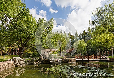 Xi Garden or Xiyuan with water lilies on the pond and rocks at Handan Campus, Fudan Universit Stock Photo