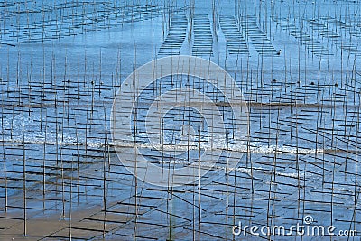 Xiapu Beach of Fujian, China. Stock Photo