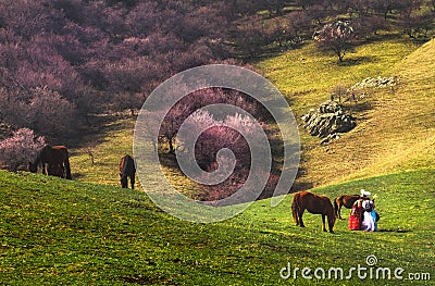 Horse graze on a meadow with beautiful hill and blooming apricot flower on the background Editorial Stock Photo