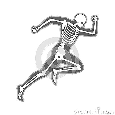 Xray Human Body Of A Man With Skeleton Running vector Vector Illustration