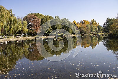 Xuanwu lake in Nanjing during autumn session Editorial Stock Photo
