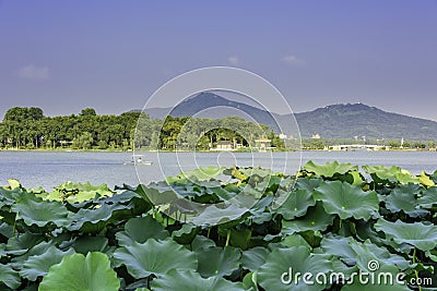 Xuanwu Lake and Purple mountain Editorial Stock Photo