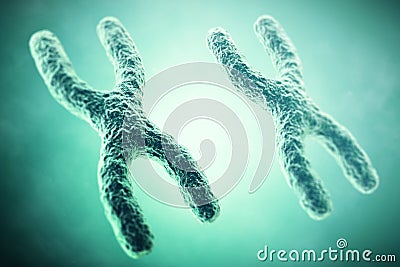 XX Chromosome in the foreground, a scientific concept. 3d illustration Cartoon Illustration