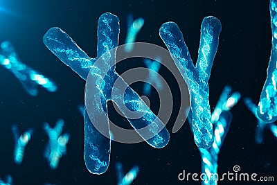 XY-Chromosomes With DNA Carrying The Genetic Code. Genetics Concept