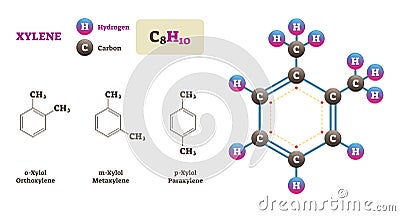 Xylene molecule vector illustration. Hydrogen and Carbon structure diagram. Vector Illustration