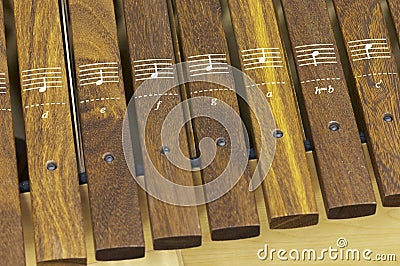 Xylophone Stock Photo