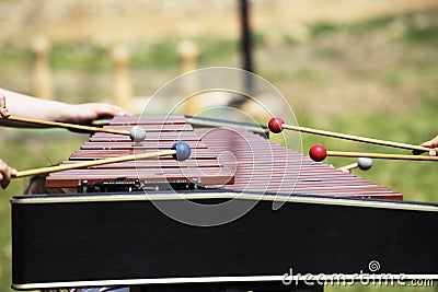 Xylophone with playing hands. Red marimba xylophone. Music percussion instrument. Stock Photo