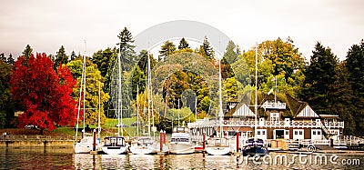 Yachts in docked in the Boatyard Marina at Stanley Park. Editorial Stock Photo