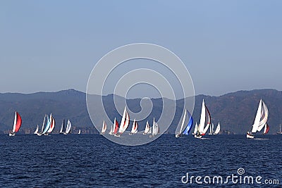 Yachts with opened spinnaker racing and competing Stock Photo