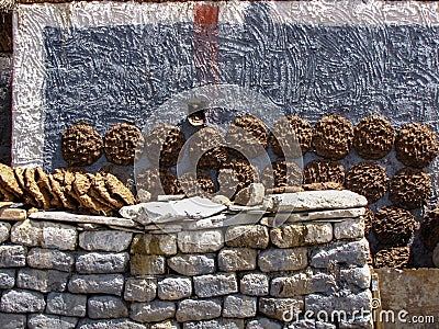 Yak patties drying on the walls of a tibetan house, Sakya, Tibet, China Stock Photo