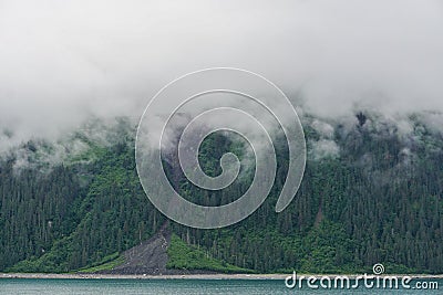 Yakutat Bay, Alaska, USA: Clouds descending on a pine forest Stock Photo