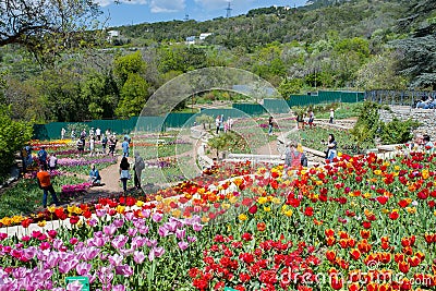 Yalta Crimea - May 5 2021 - tulip parade in Nikitsky botanical garden, tulip flower in the field with vivid color Editorial Stock Photo