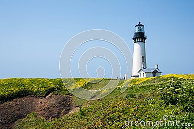 Yaquina Head Lighthouse in bloom Stock Photo