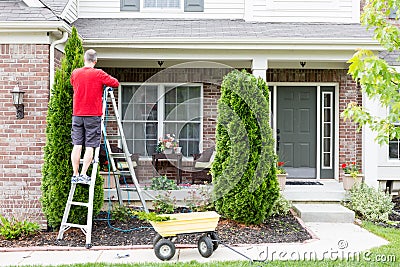 Yard work around the house trimming Thuja trees Stock Photo