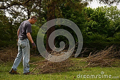 Yardwork bundling twigs Stock Photo