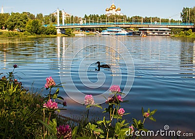 Yaroslavl. red clover on the Bank of the Kotorosl river opposite the beautiful cable-stayed bridge to the island of Damansky and Stock Photo