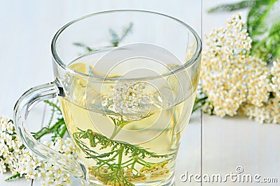 Yarrow medicinal tea in glass cup Stock Photo