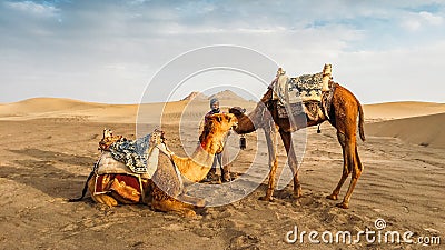 Yazd, Iran - April 25, 2018: Local Iranian man next to two camels in Yazd, Iran Editorial Stock Photo