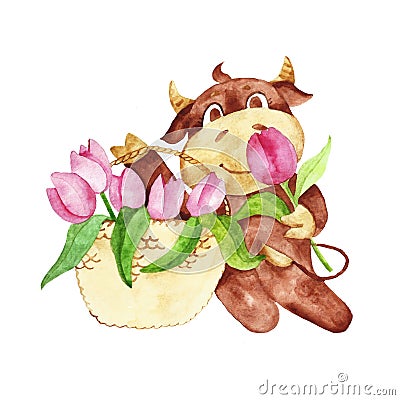 Year of the bull calendar. March. Bull basket with tulips. Made in watercolor Stock Photo