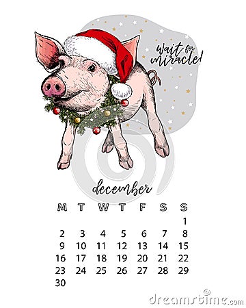 Year calendar with pig. Monthly illustrations. Hand drawn piglet wearssanta hat and fir wreath. December. Cristmas, Xmas Vector Illustration