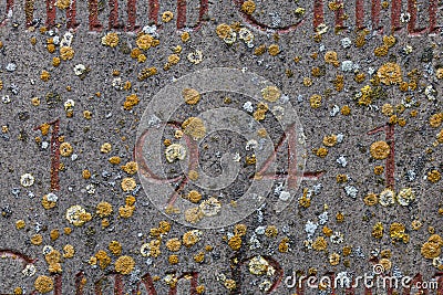 Year 1941 carved in stone covering with moss Stock Photo