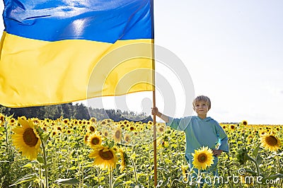 7-year-old boy with a yellow-blue large Ukrainian flag stands among a blooming field of sunflowers Stock Photo