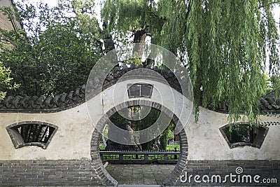 4,500-year-old cypress in Songyang Academy, central China Stock Photo