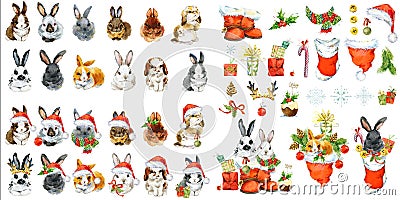 Year of the Rabbit. collection cute bunny with New Year decoration elements for creating design. Cartoon Illustration