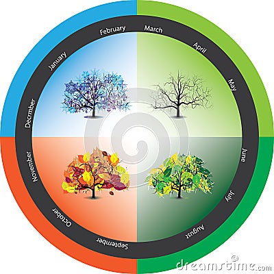 Year season trees Vector Illustration