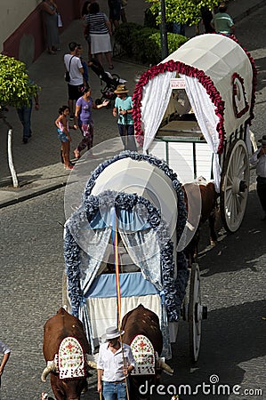 Yearly celebration of the Patron Saint in Carmona 36 Editorial Stock Photo