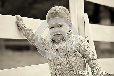 2 years old Baby boy on the a white picket fence beside the hors Stock Photo