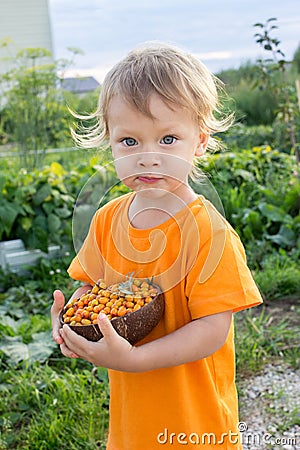 2 years old child eating fresh sea buckthorn berries outdoors in summer in countryside. Happy summer vacation in countryside Stock Photo