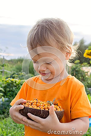 2 years old child eating fresh sea buckthorn berries outdoors in summer in countryside. Happy summer vacation in countryside Stock Photo